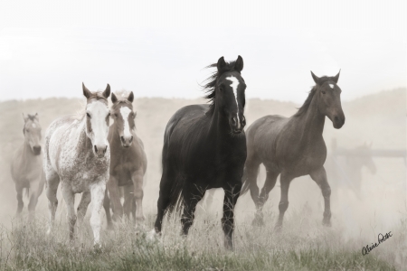 Out of the Dust by artist Claire Porter